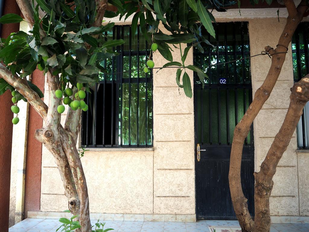 Manuhie Backpackers Lodge Bahir Dar Ruang foto