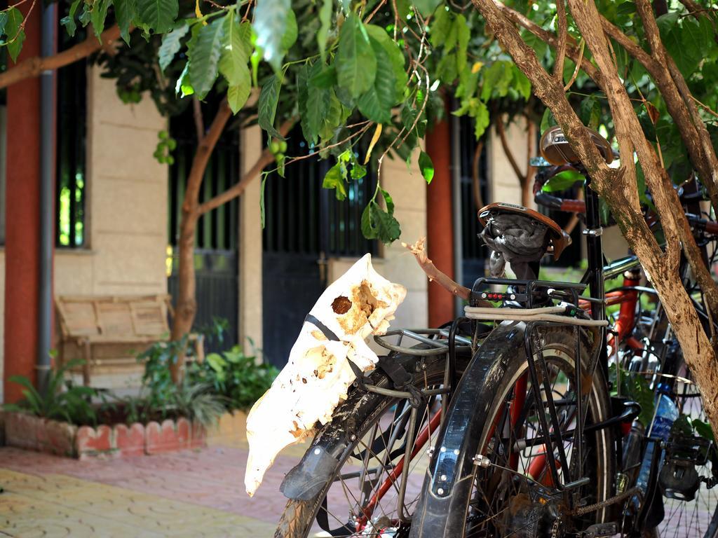 Manuhie Backpackers Lodge Bahir Dar Ruang foto