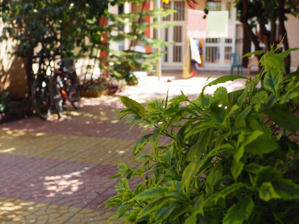Manuhie Backpackers Lodge Bahir Dar Ruang foto