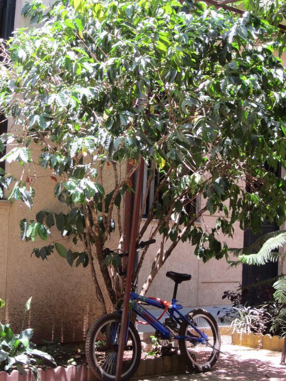 Manuhie Backpackers Lodge Bahir Dar Bagian luar foto
